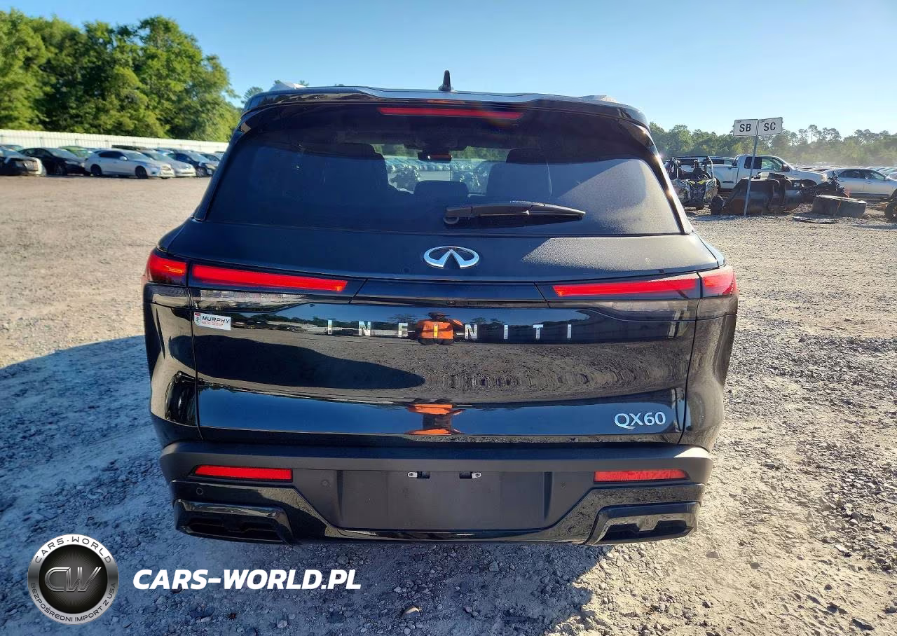 2025 Infiniti Qx60 Luxe VIN:5N1AL1FR5SC344993 - 6