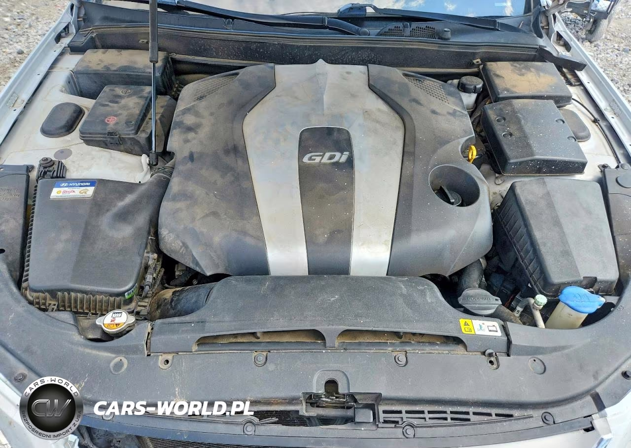 2014 Hyundai Genesis 3.8L VIN:KMHGC4DD2EU261698 - 11