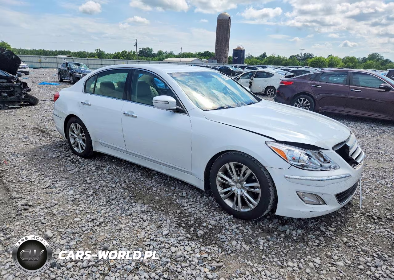2014 Hyundai Genesis 3.8L VIN:KMHGC4DD2EU261698 - 4