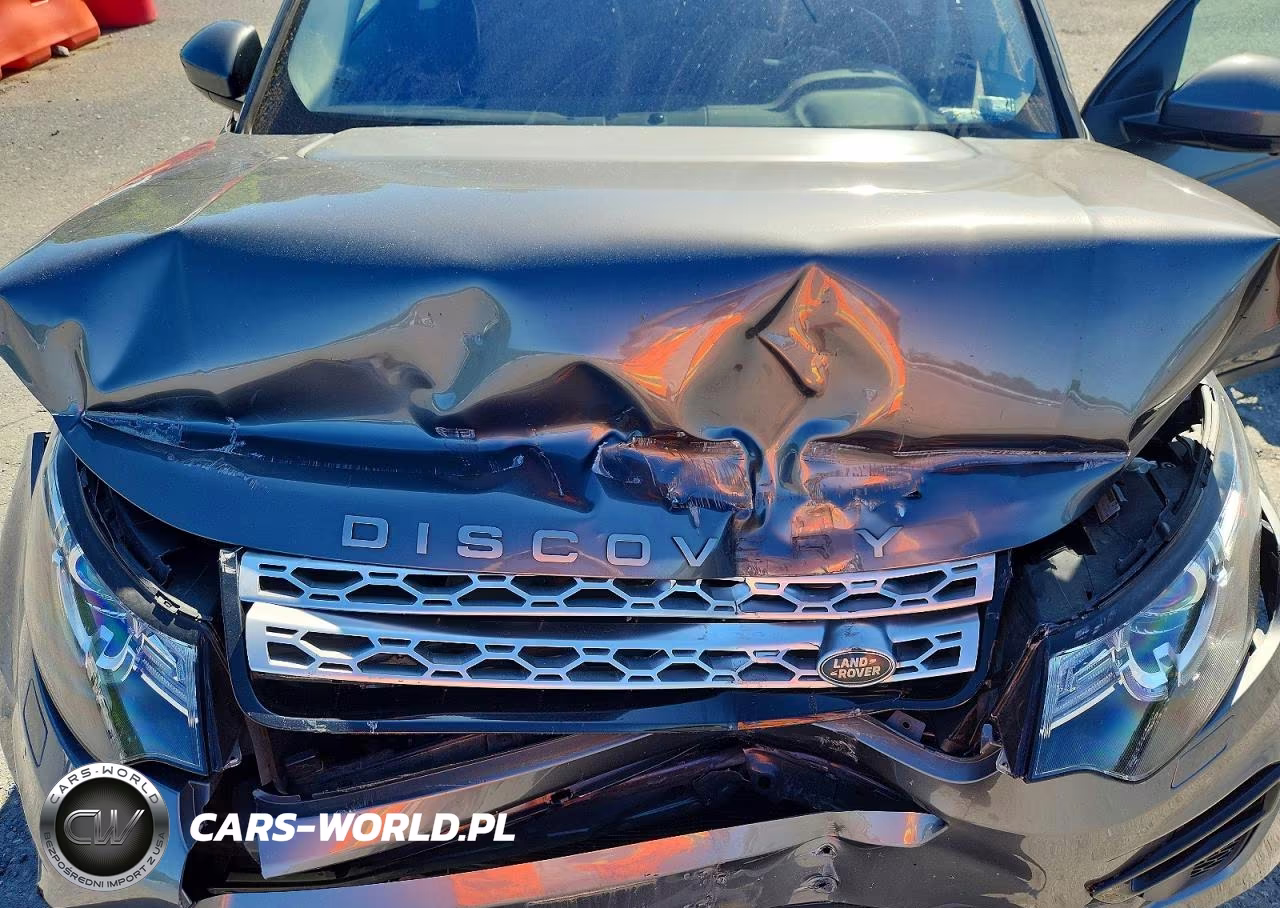2019 Lndr Discovery Sport VIN:SALCR2FX8KH814252 - 12