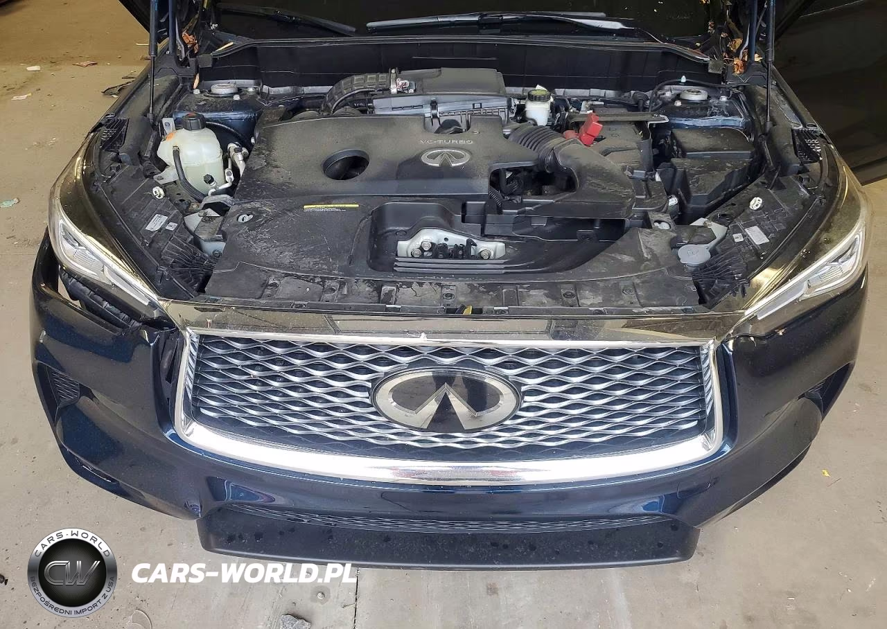 2021 Infiniti Qx50 Luxe VIN:3PCAJ5BB1MF117428 - 12
