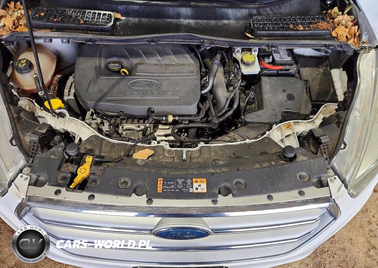 2017 Ford Escape Se VIN:1FMCU0GD5HUB42662 - 11