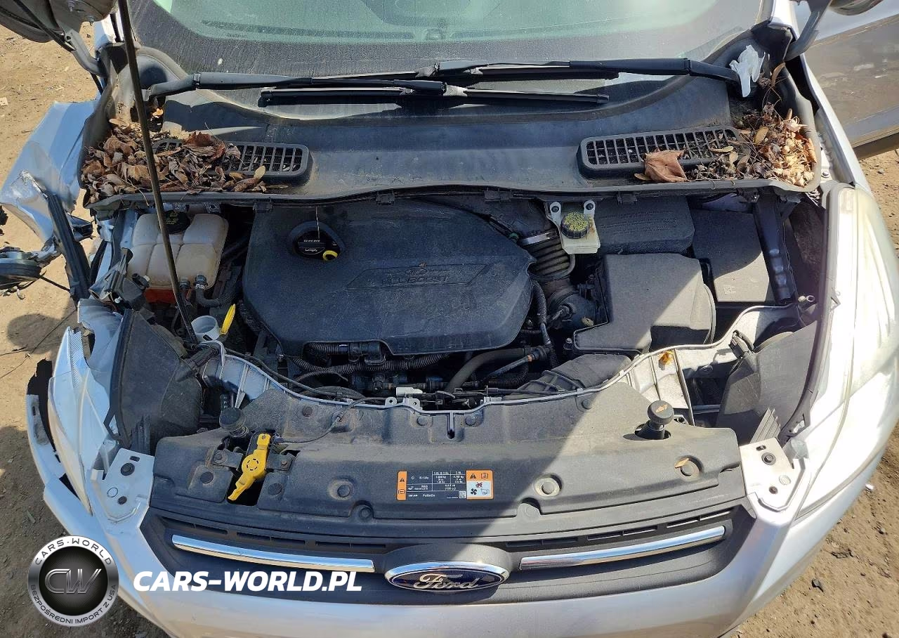 2014 Ford Escape Se VIN:1FMCU0GXXEUD79069 - 12