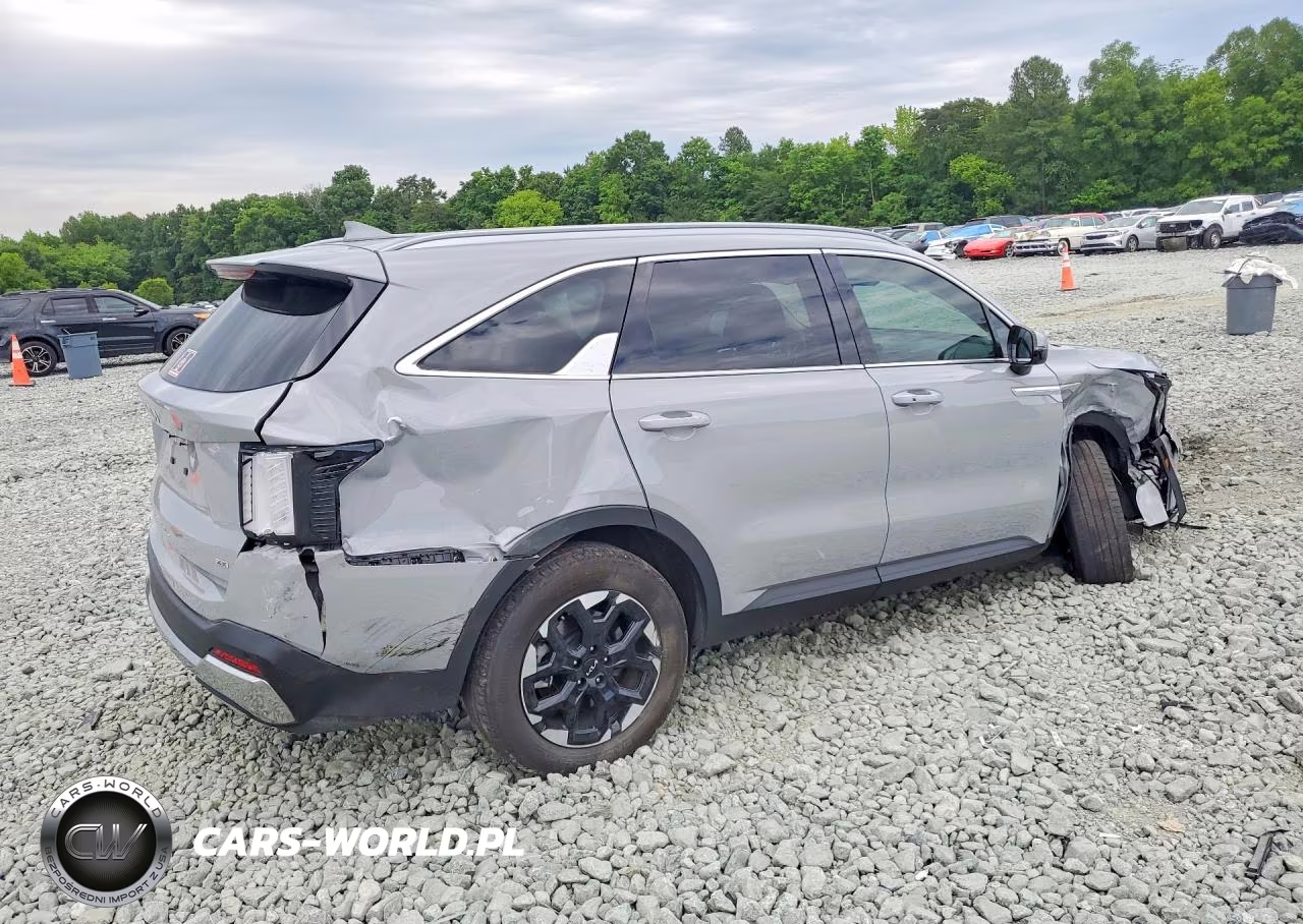 2024 Kia Sorento S VIN:5XYRLDJC5RG263669 - 3