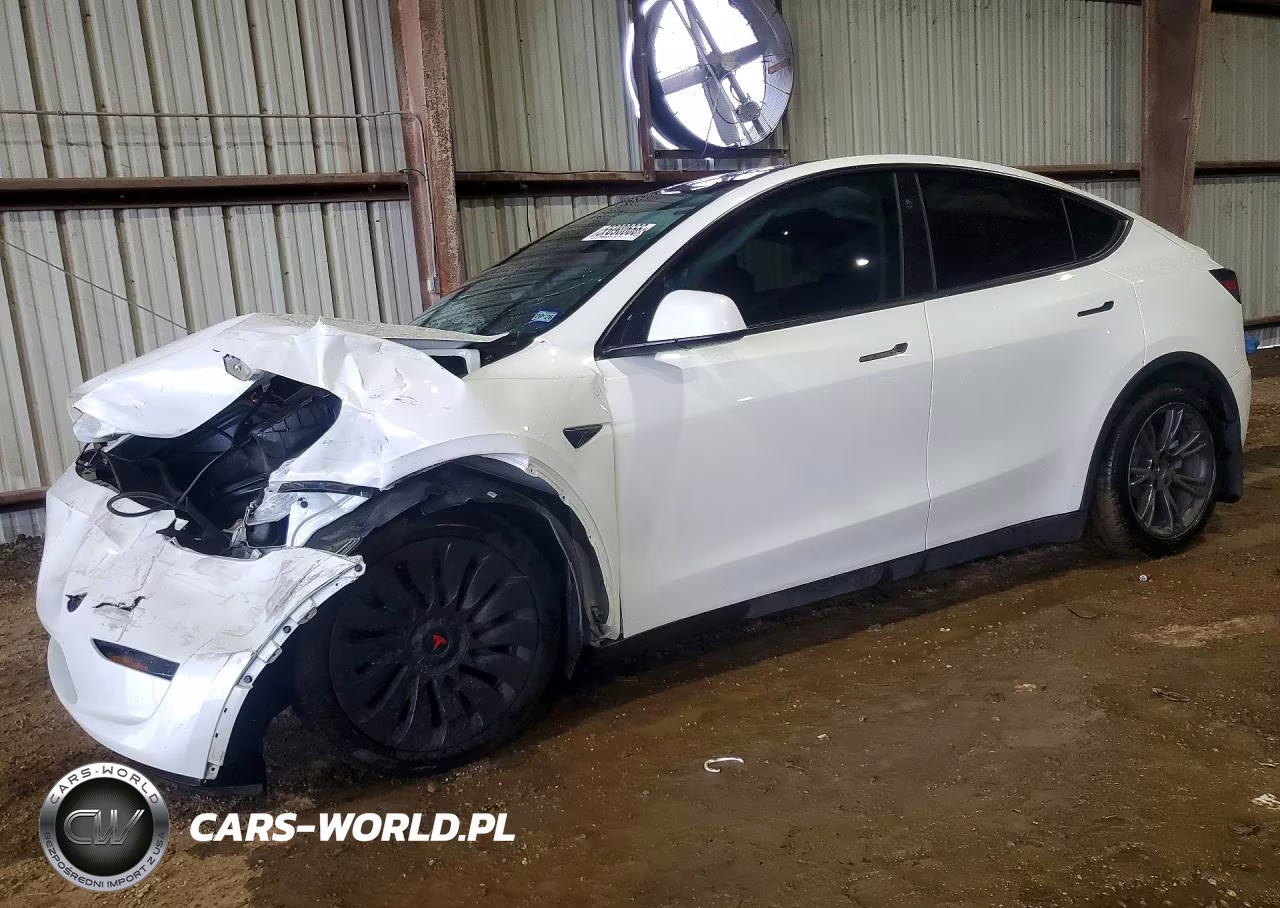 2024 Tesla Model Y – zdjęcie 1 z 12