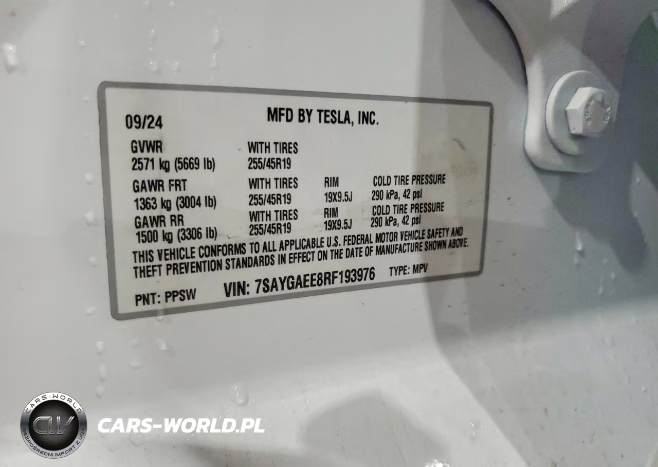 2024 Tesla Model Y VIN:7SAYGAEE8RF193976 - 12