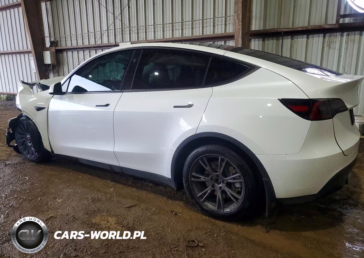 2024 Tesla Model Y VIN:7SAYGAEE8RF193976 - 2