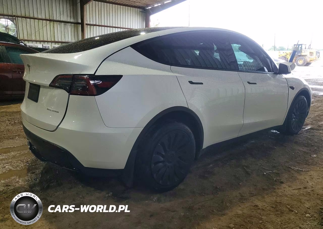 2024 Tesla Model Y VIN:7SAYGAEE8RF193976 - 3