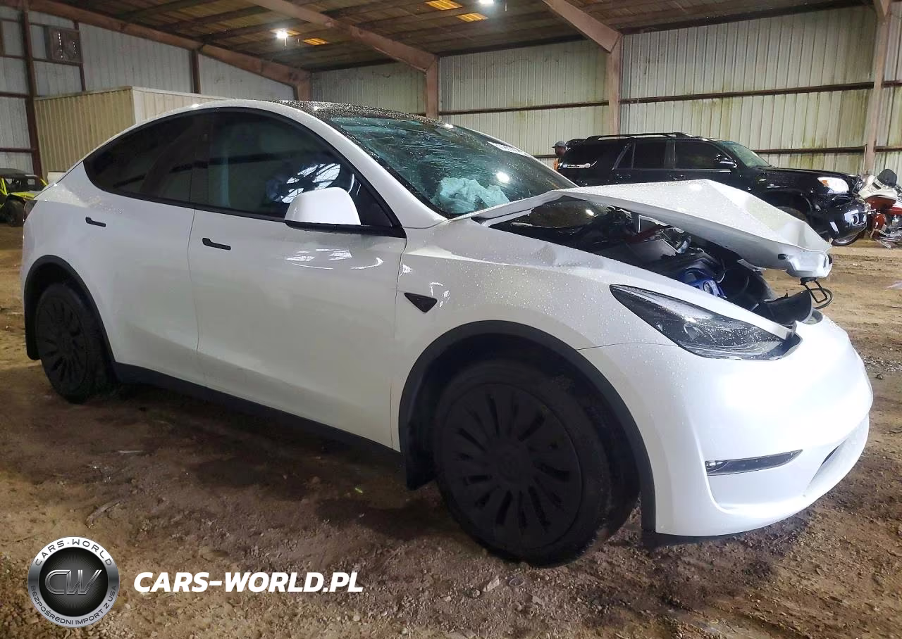 2024 Tesla Model Y VIN:7SAYGAEE8RF193976 - 4