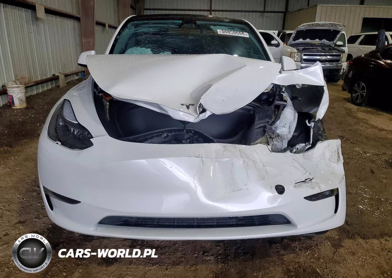 2024 Tesla Model Y VIN:7SAYGAEE8RF193976 - 5