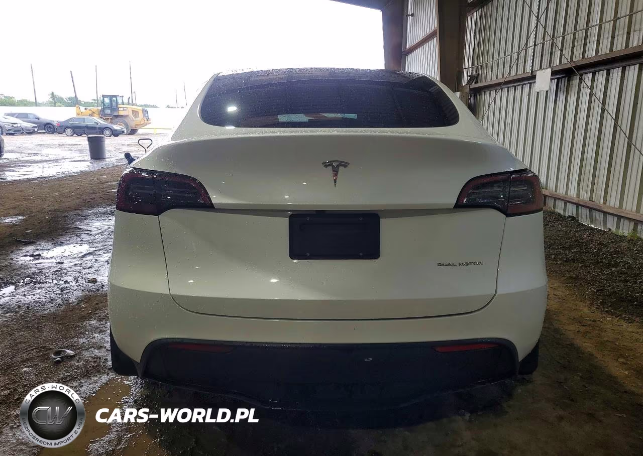 2024 Tesla Model Y VIN:7SAYGAEE8RF193976 - 6