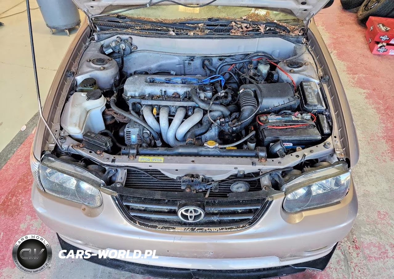 1998 Toyota Corolla Ve VIN:1NXBR12E7WZ089821 - 11
