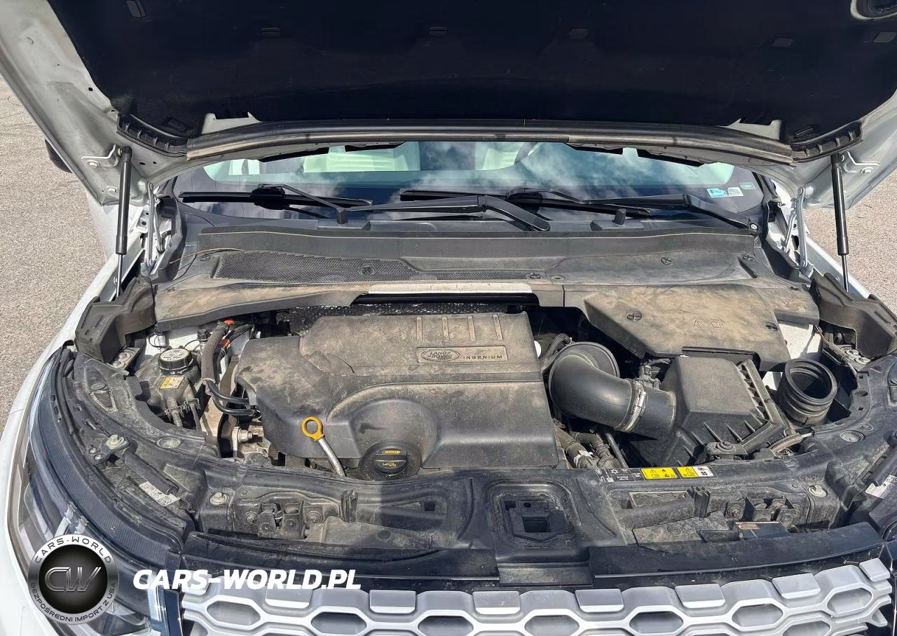 2023 Land Rover Discovery Sport S VIN:SALCJ2FX6PH919709 - 7