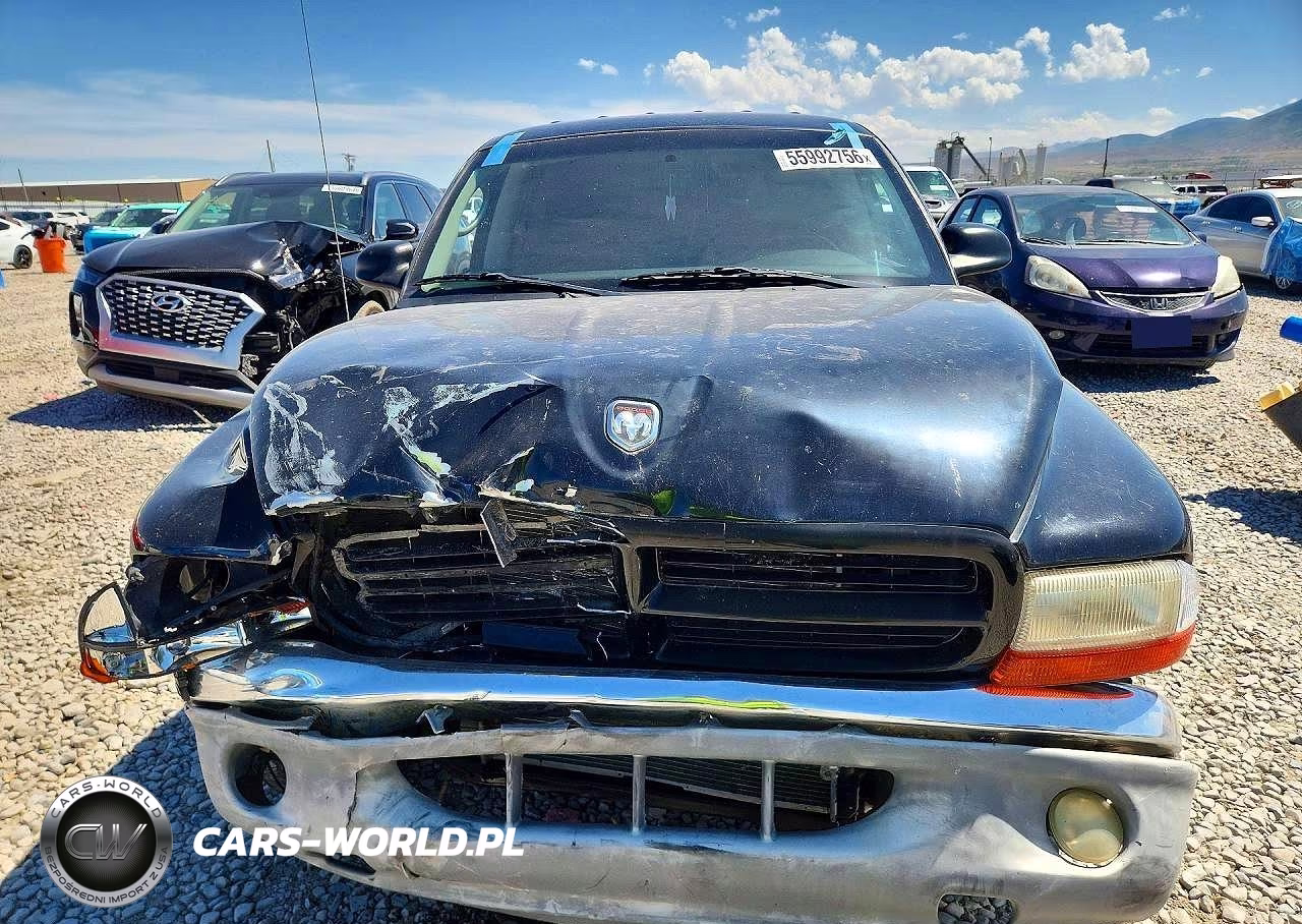 2004 Dodge Dakota Quad Sport VIN:1D7HL38N34S644443 - 5
