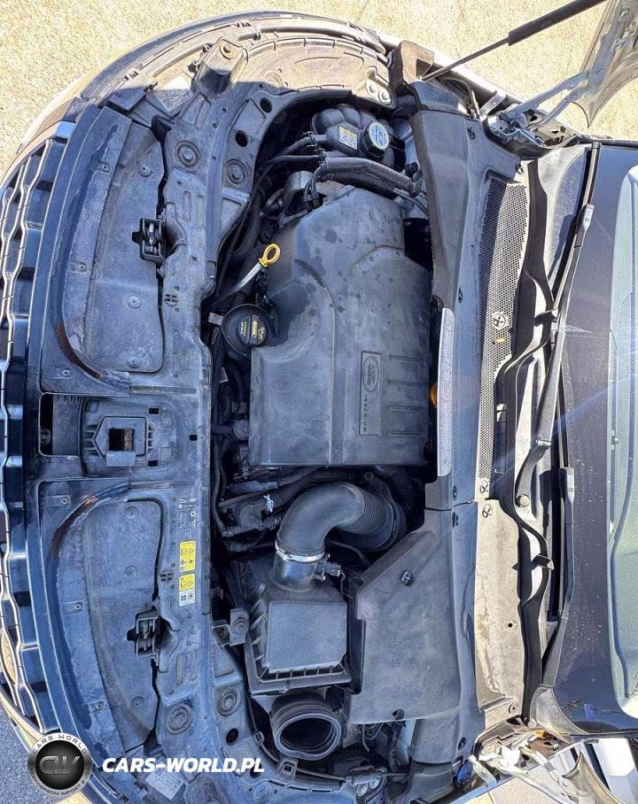 2020 Land Rover Range Rover Evoque S VIN:SALZJ2FX4LH011179 - 7