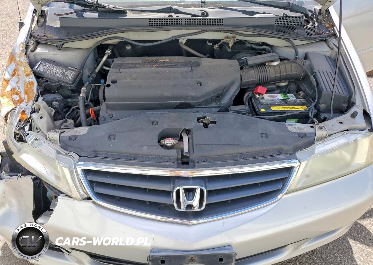 2003 Honda Odyssey Exl VIN:5FNRL18723B144774 - 12