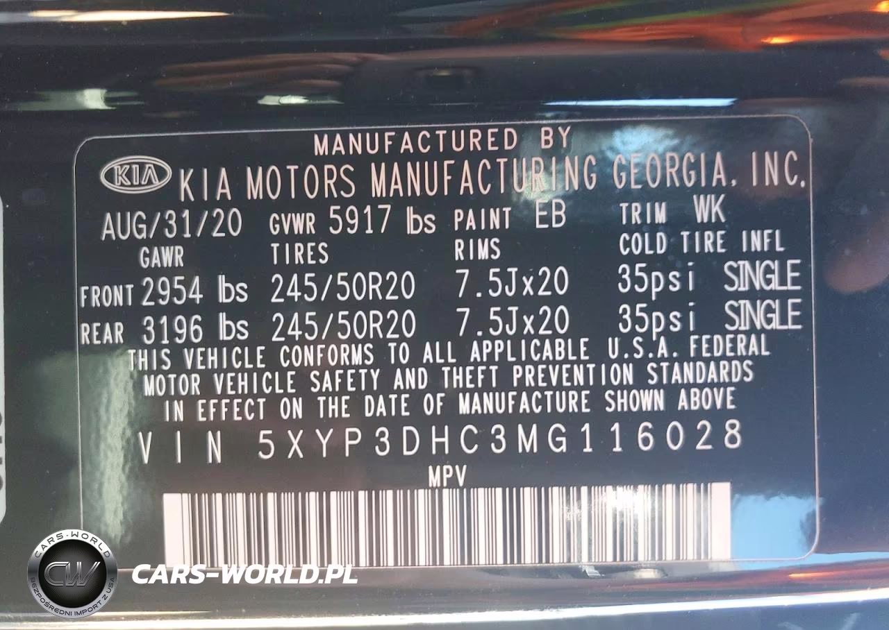 2021 Kia Telluride Ex VIN:5XYP3DHC3MG116028 - 13
