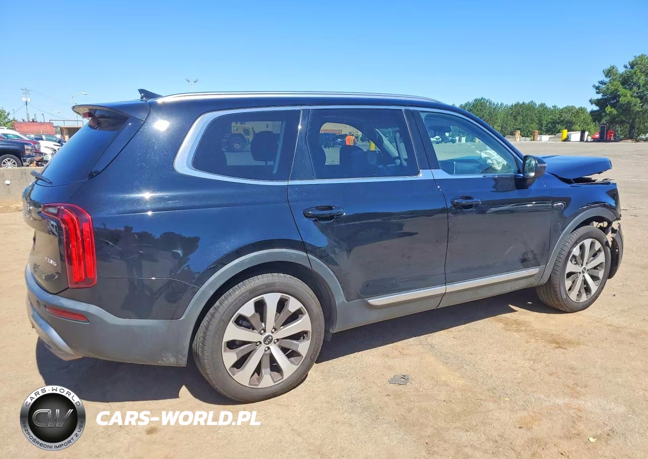 2021 Kia Telluride Ex VIN:5XYP3DHC3MG116028 - 3