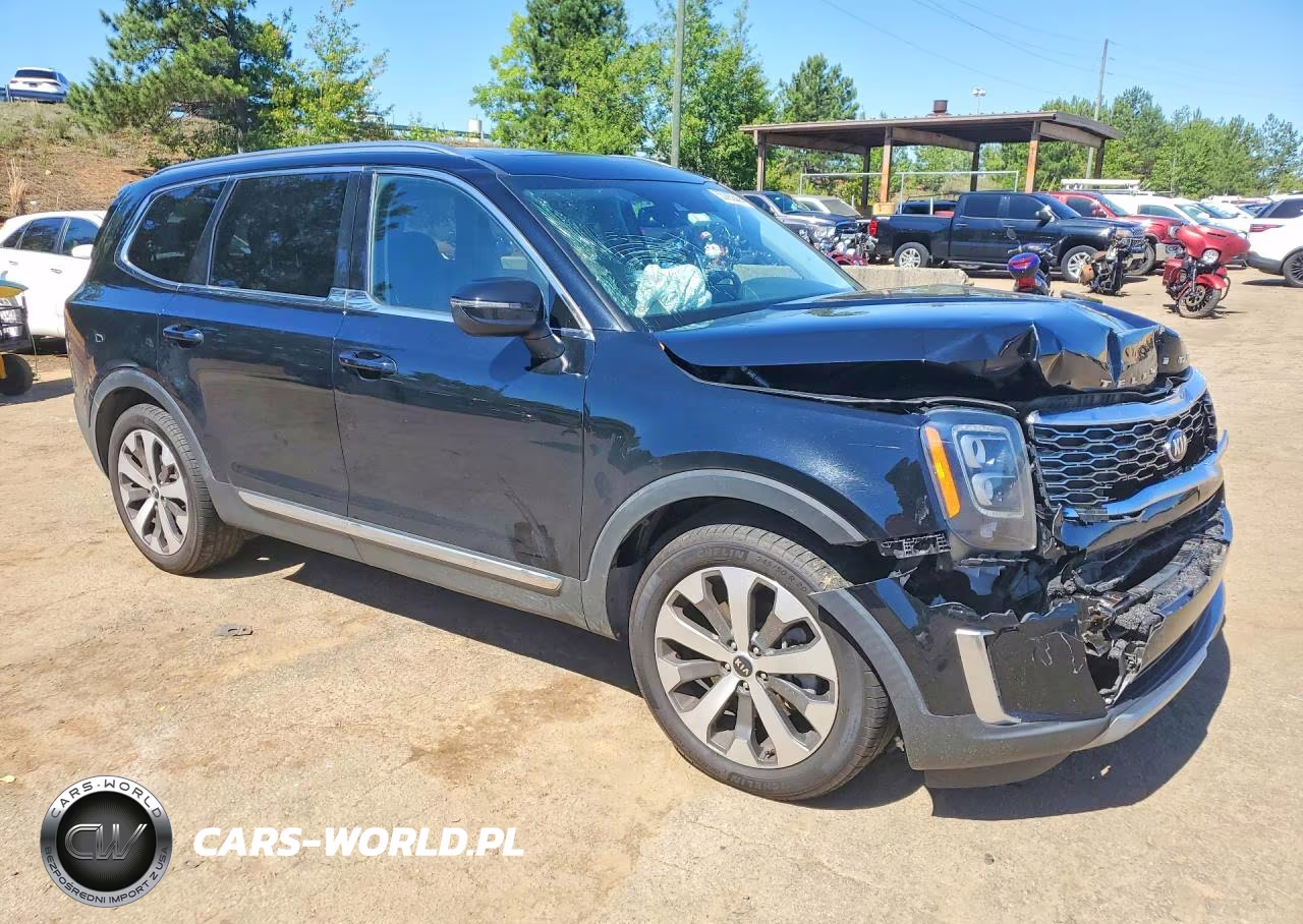 2021 Kia Telluride Ex VIN:5XYP3DHC3MG116028 - 4