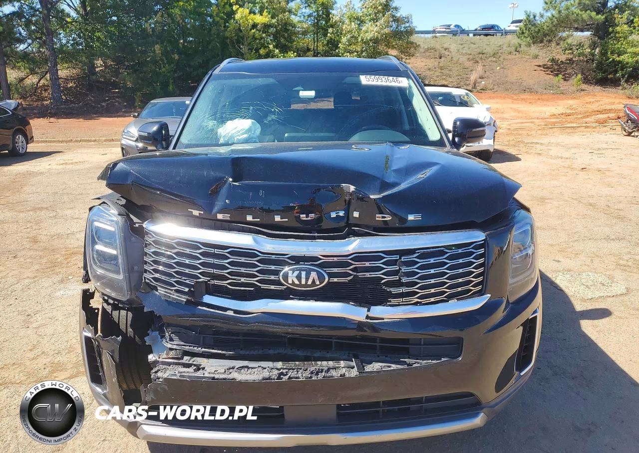 2021 Kia Telluride Ex VIN:5XYP3DHC3MG116028 - 5