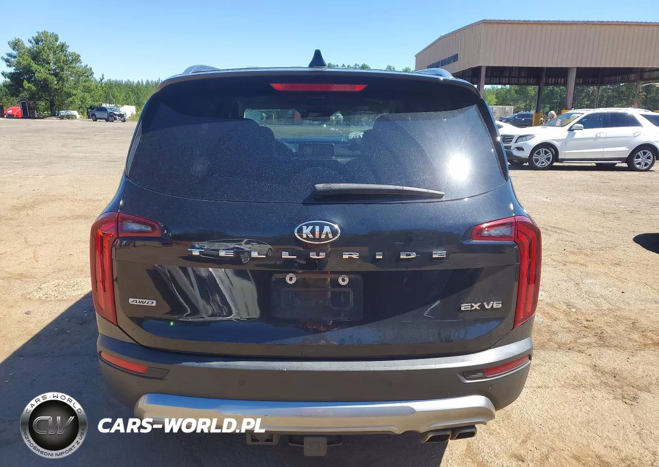 2021 Kia Telluride Ex VIN:5XYP3DHC3MG116028 - 6