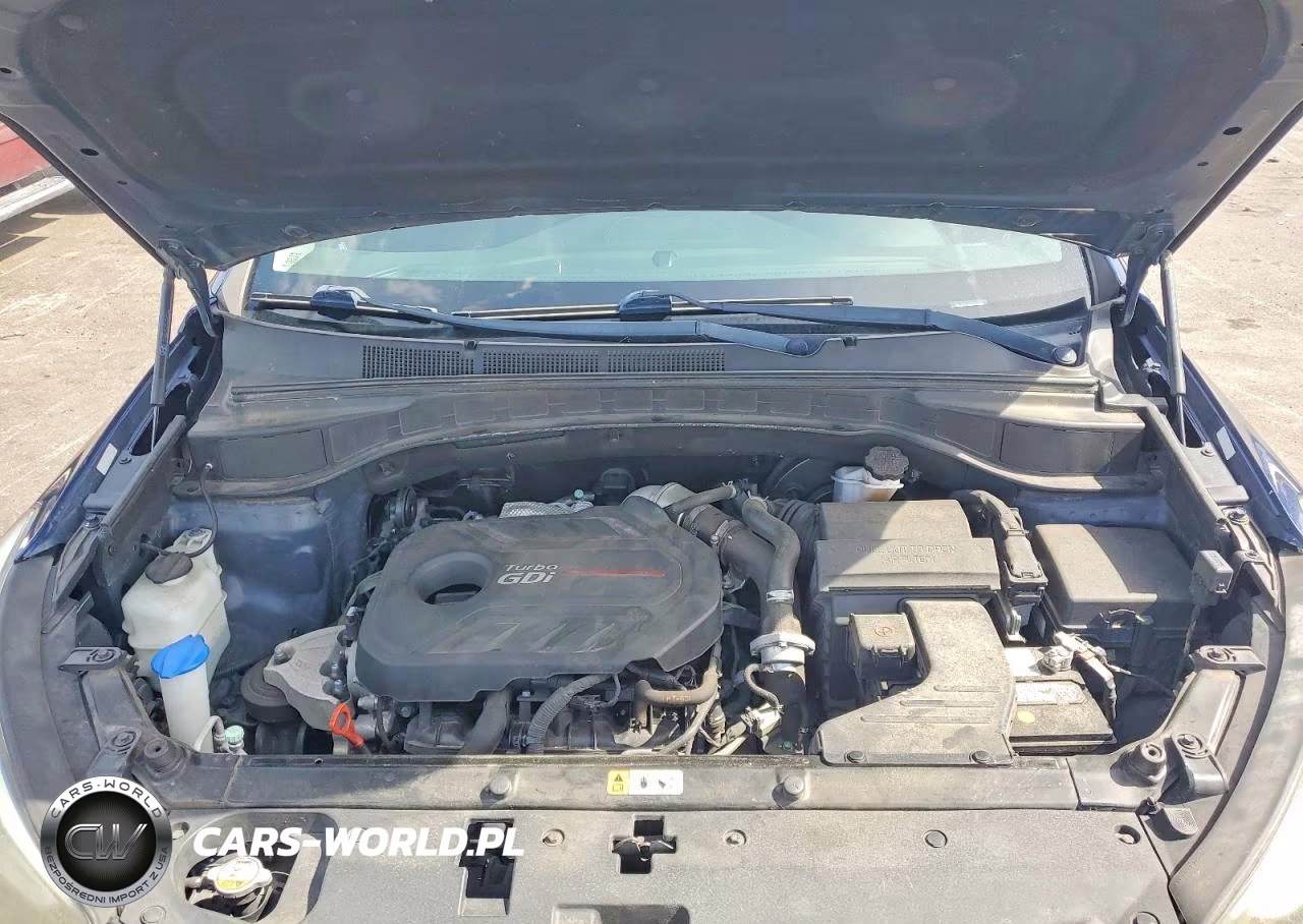 2018 Hyundai Santa Fe Sport 2.0T Ultimate VIN:5XYZW4LA1JG544388 - 12