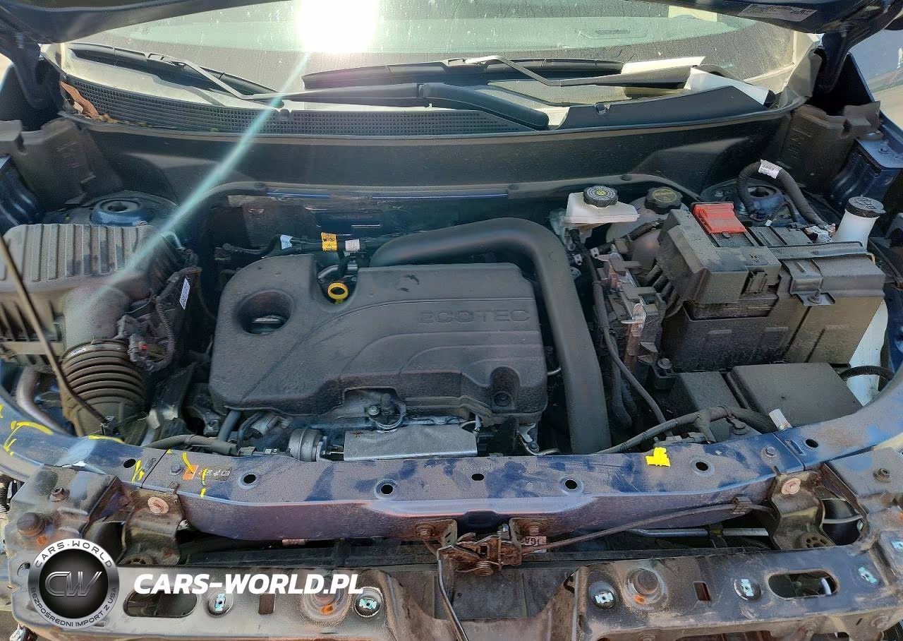 2025 Chevrolet Equinox Lt VIN:3GNAXPEGXSL316405 - 12