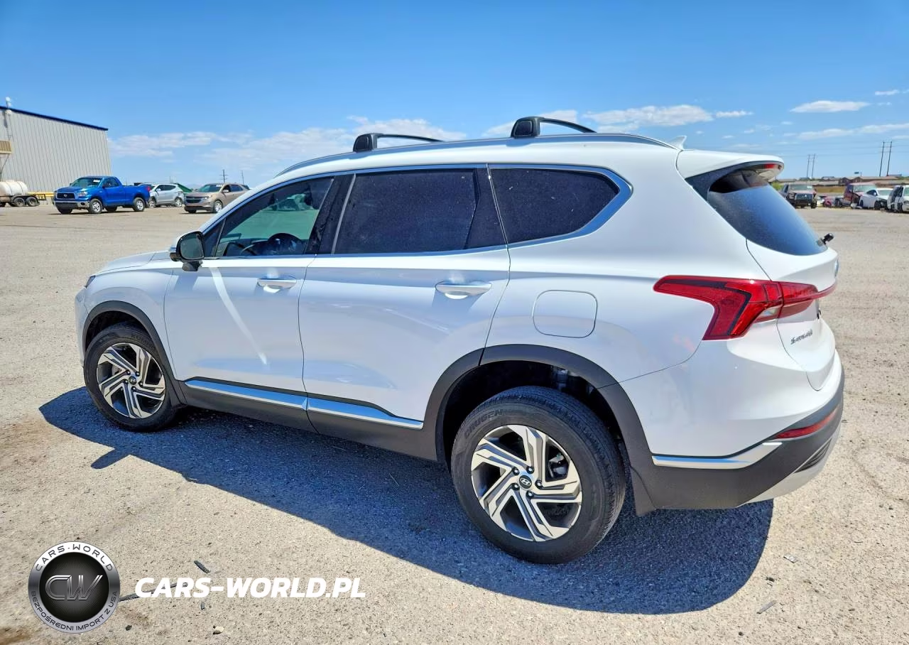 2023 Hyundai Santa Fe Sel Premium VIN:5NMS3DAJ4PH613327 - 2