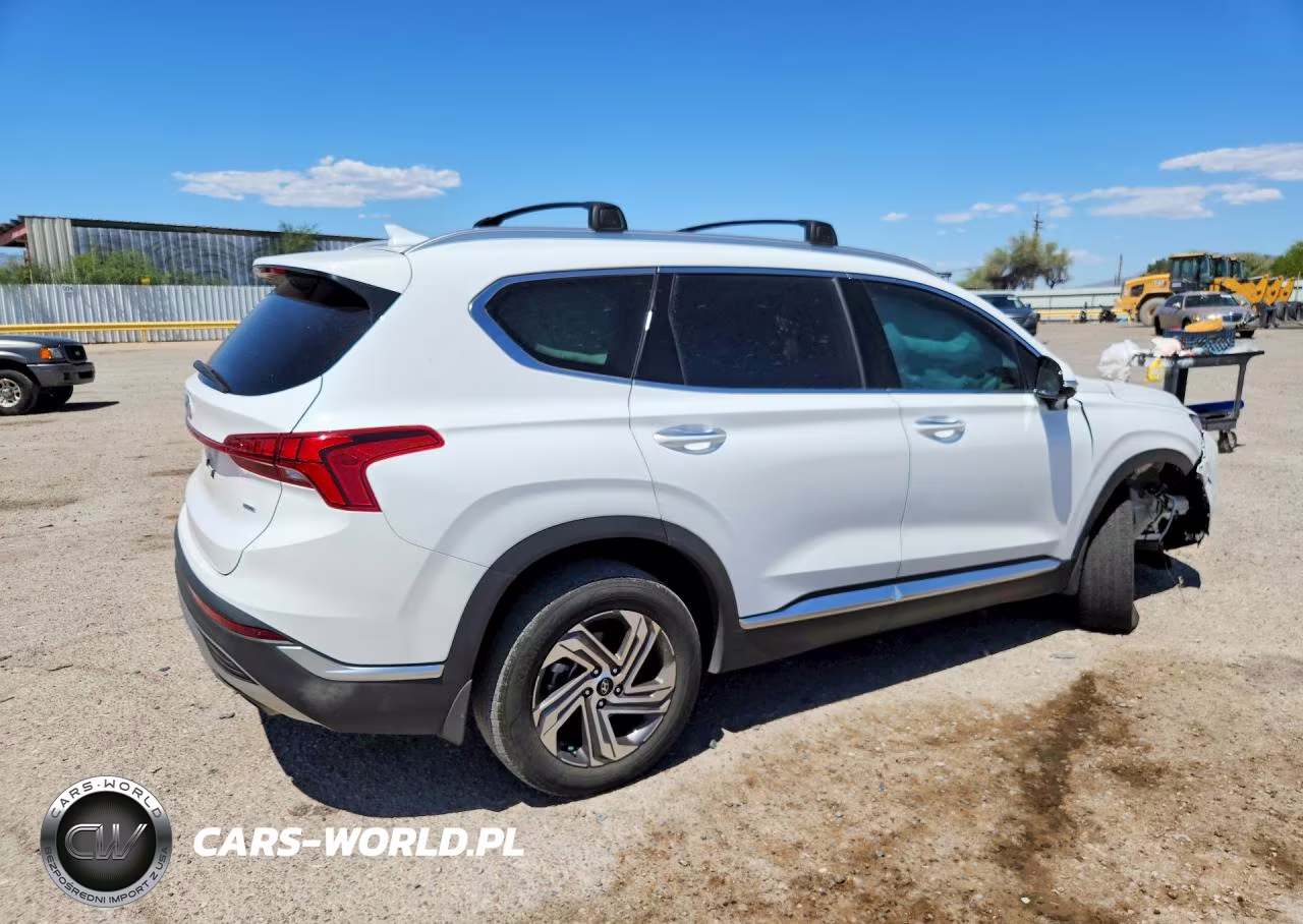 2023 Hyundai Santa Fe Sel Premium VIN:5NMS3DAJ4PH613327 - 3