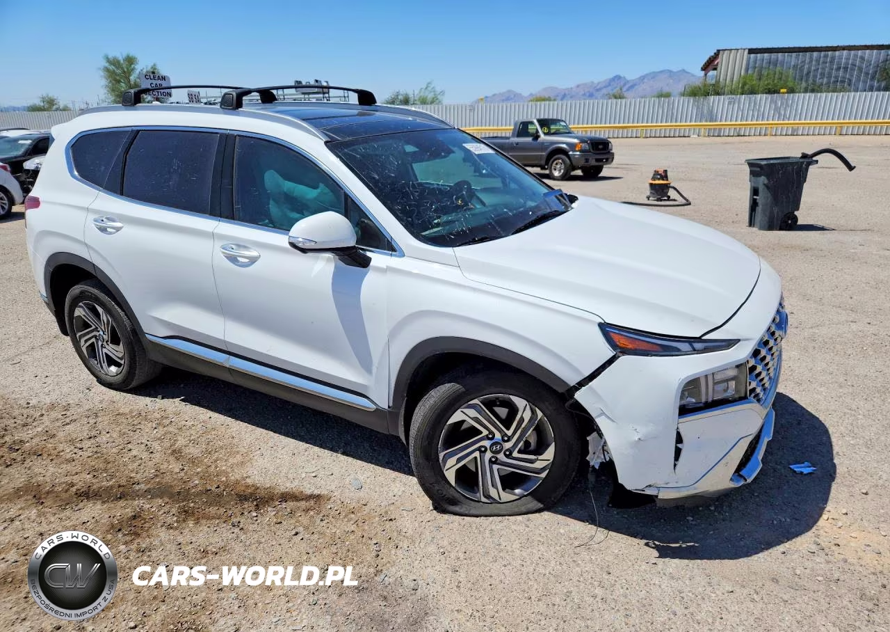 2023 Hyundai Santa Fe Sel Premium VIN:5NMS3DAJ4PH613327 - 4