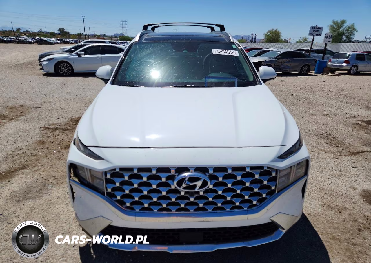 2023 Hyundai Santa Fe Sel Premium VIN:5NMS3DAJ4PH613327 - 5