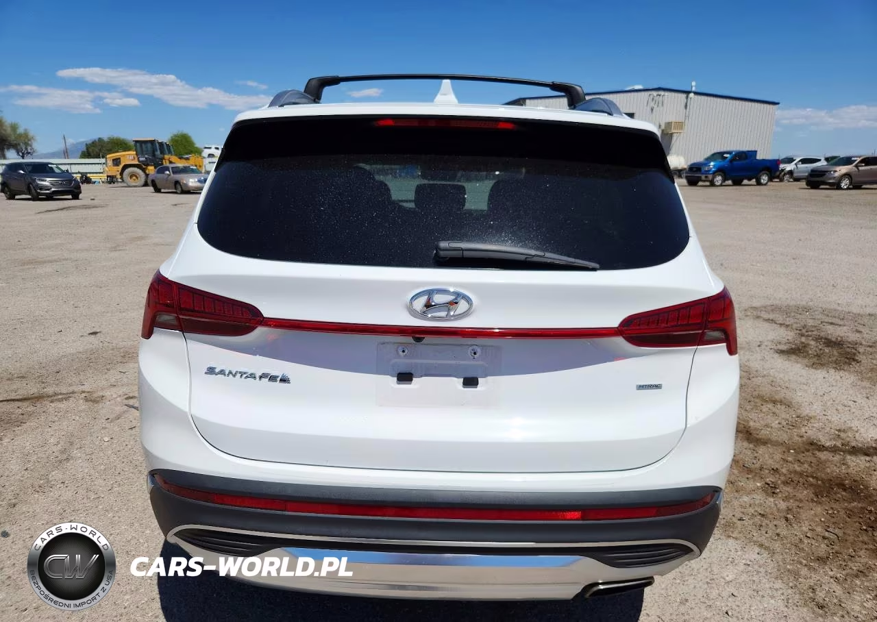 2023 Hyundai Santa Fe Sel Premium VIN:5NMS3DAJ4PH613327 - 6