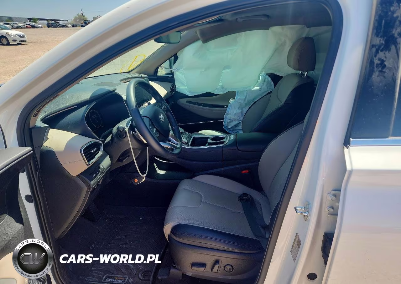 2023 Hyundai Santa Fe Sel Premium VIN:5NMS3DAJ4PH613327 - 7