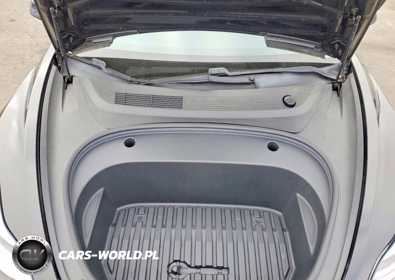 2021 Tesla Model 3 VIN:5YJ3E1EA9MF072439 - 11