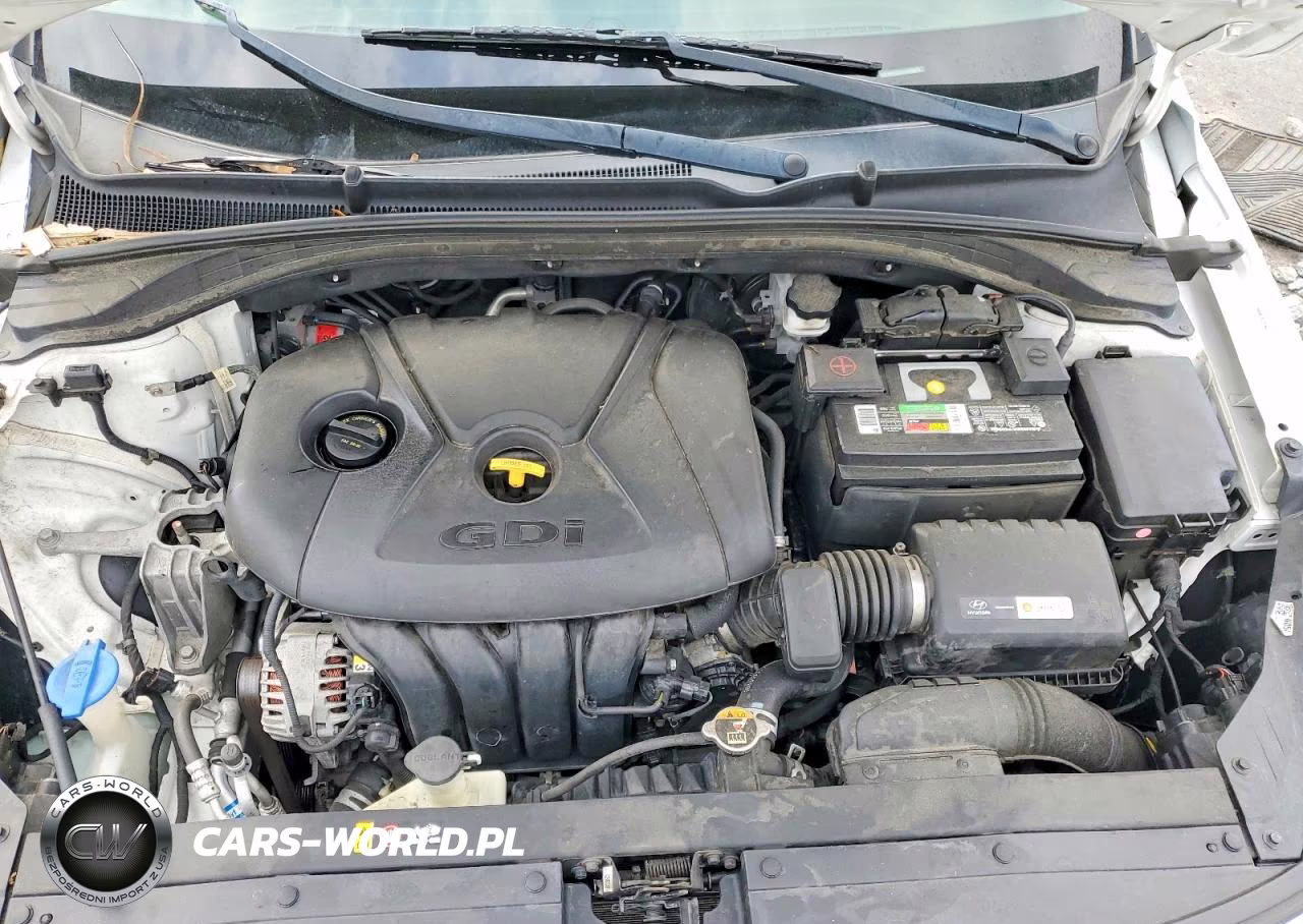 2019 Hyundai Elantra Gt Base VIN:KMHH35LE5KU098805 - 11
