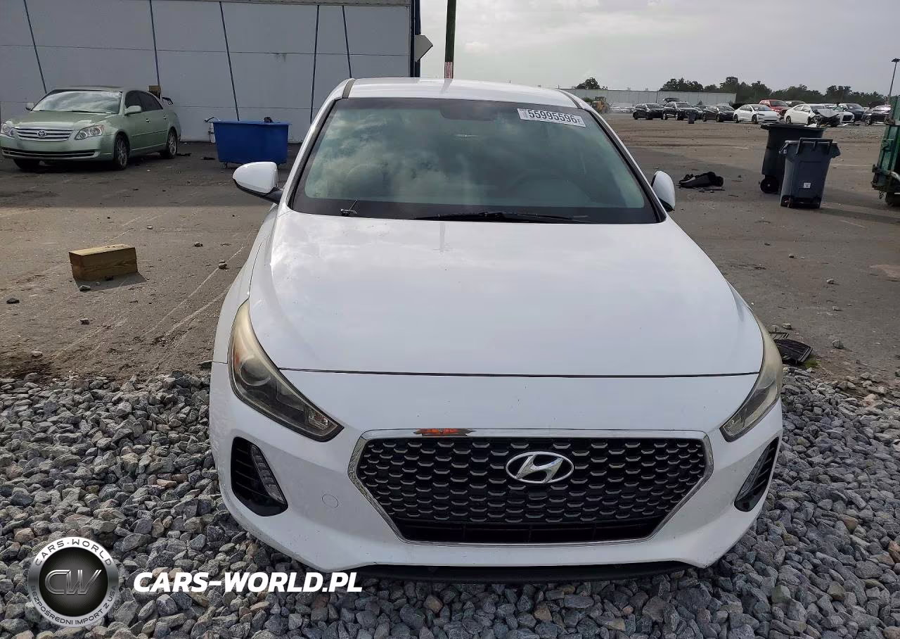 2019 Hyundai Elantra Gt Base VIN:KMHH35LE5KU098805 - 5