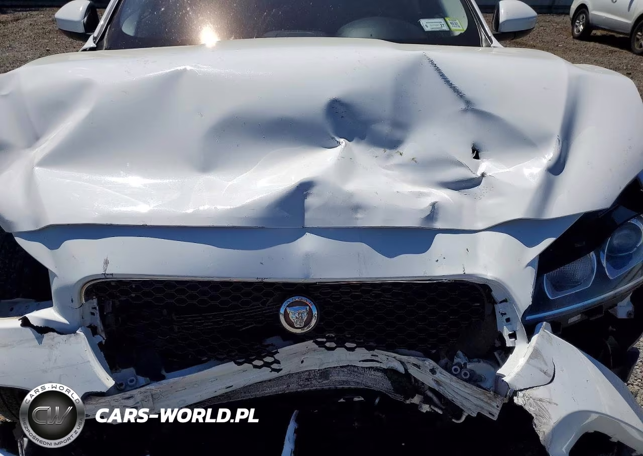 2017 Jaguar F-Pace Premium VIN:SADCJ2BV7HA496696 - 12