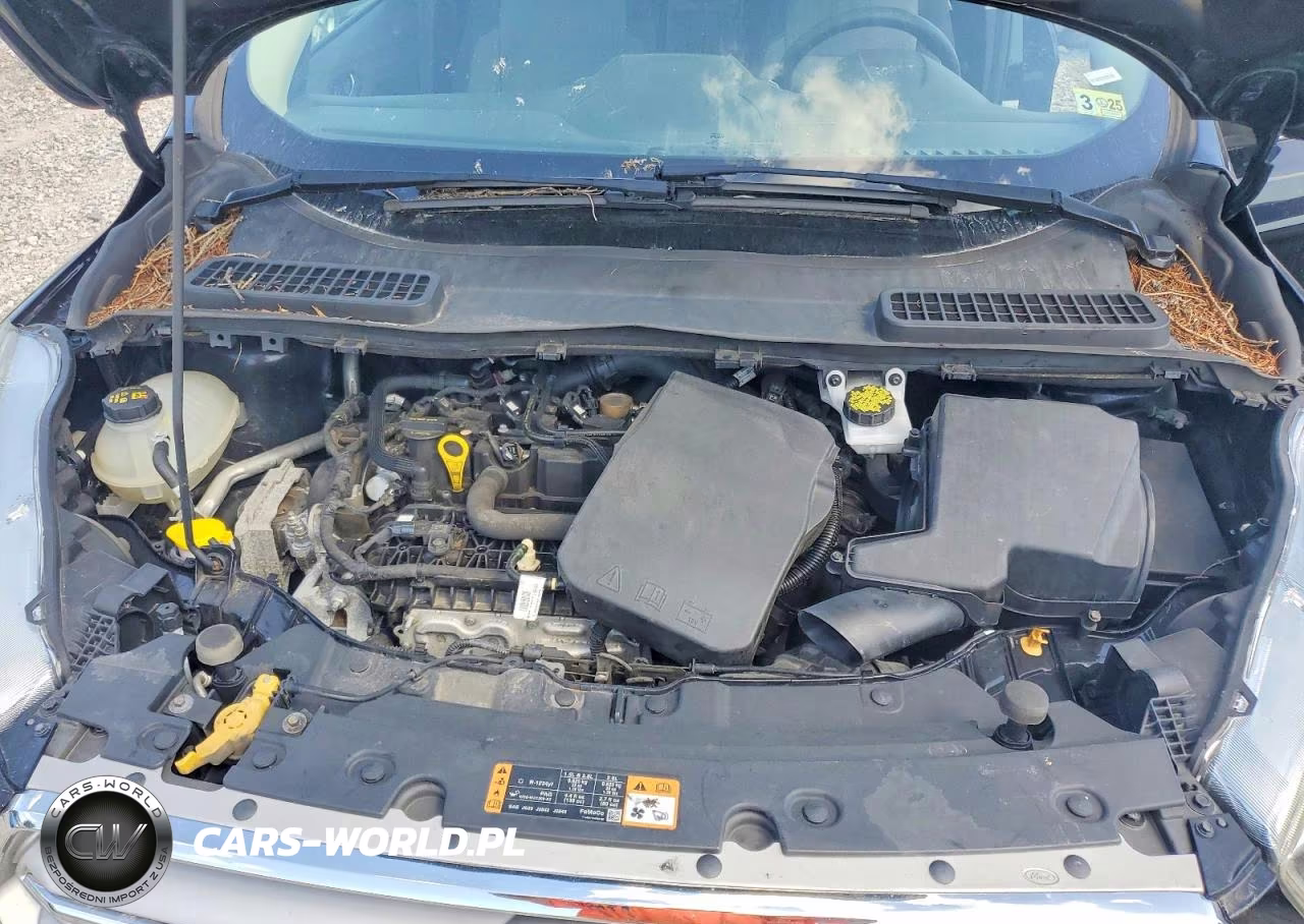 2019 Ford Escape Se VIN:1FMCU9GD7KUB09609 - 12