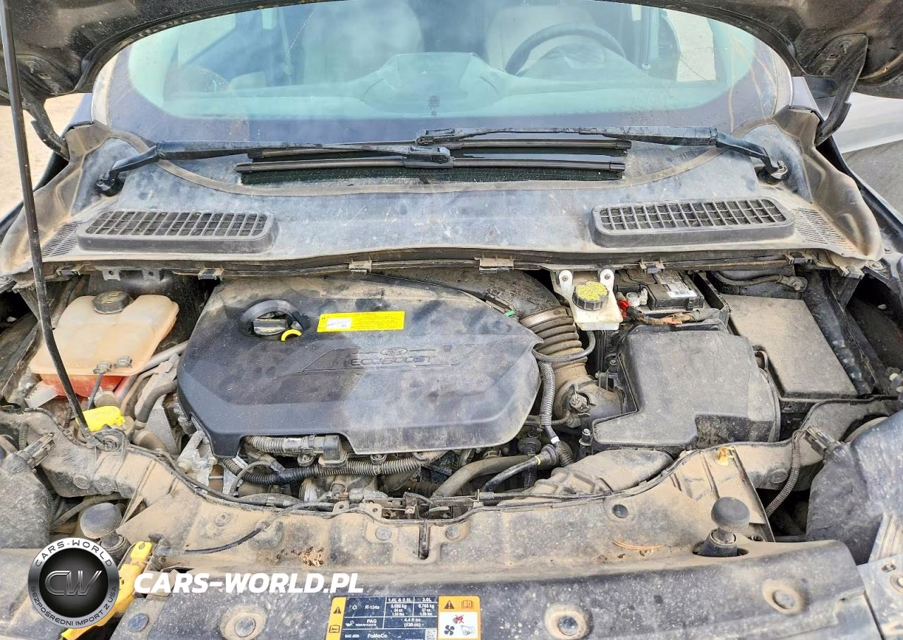 2016 Ford Escape Se VIN:1FMCU9GX0GUA96736 - 12