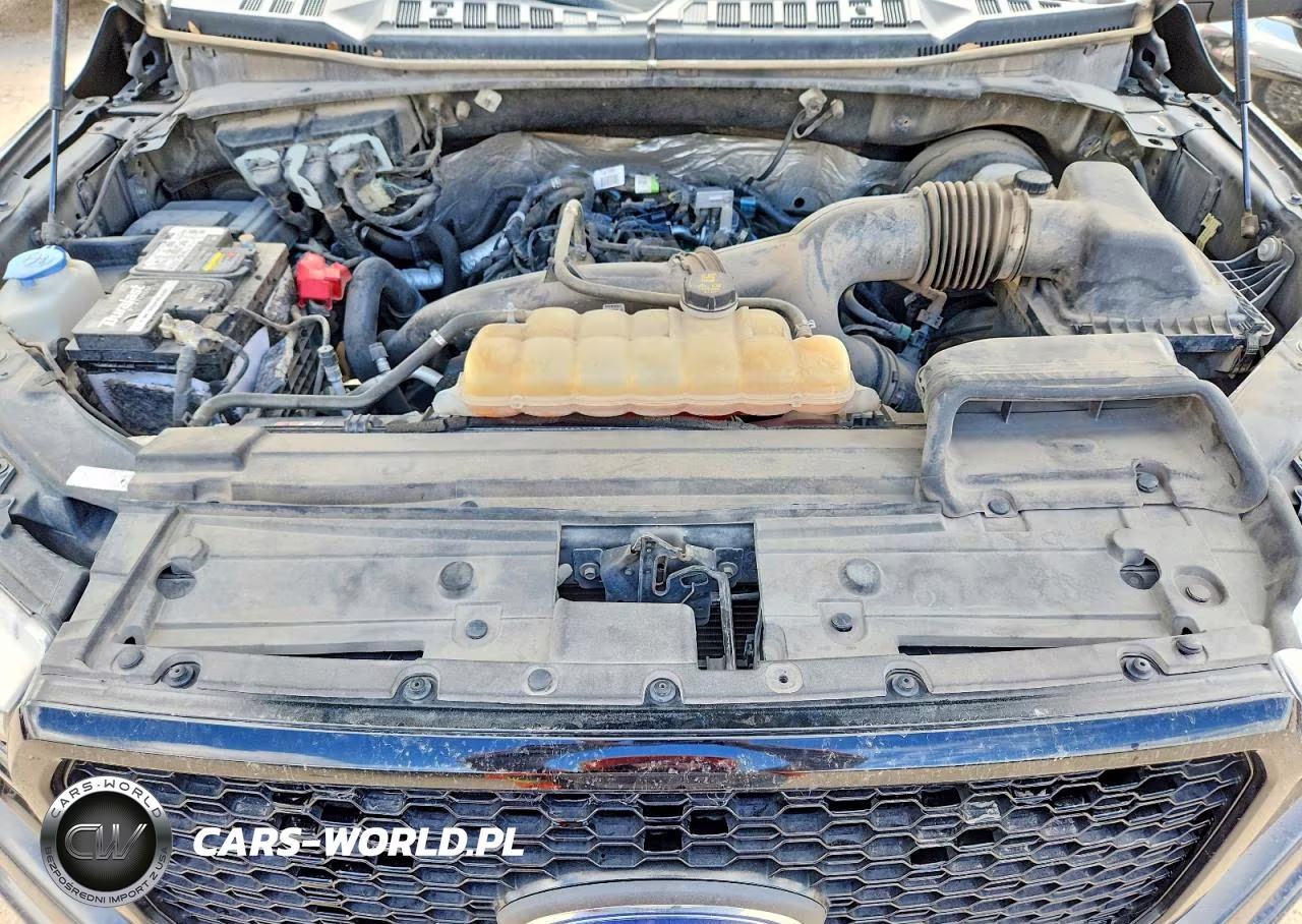 2019 Ford F150 Xl VIN:1FTEW1CPXKKC30221 - 11