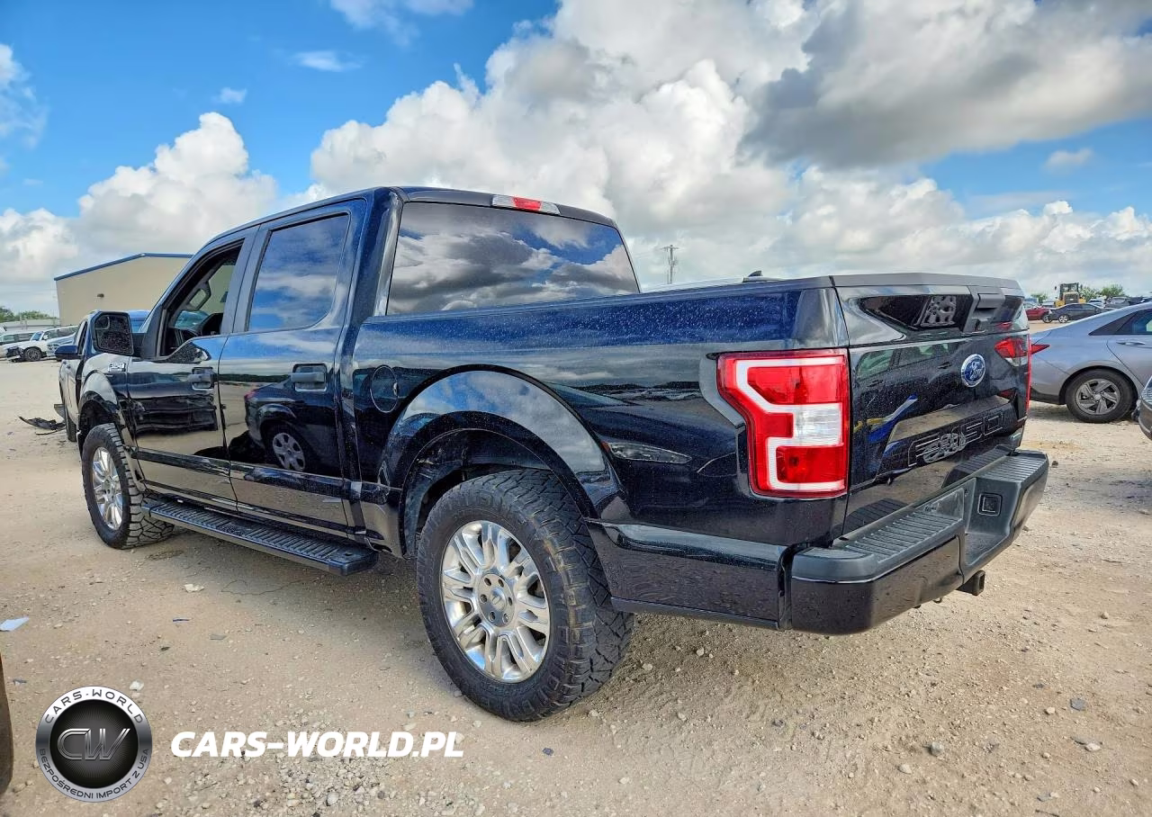 2019 Ford F150 Xl VIN:1FTEW1CPXKKC30221 - 2