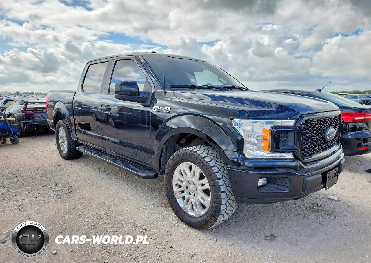 2019 Ford F150 Xl VIN:1FTEW1CPXKKC30221 - 4