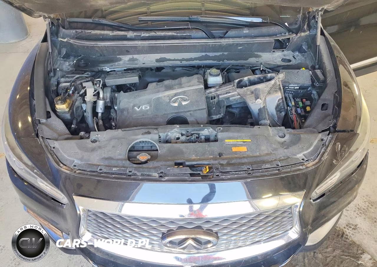 2019 Infiniti Qx60 Pure VIN:5N1DL0MNXKC506480 - 12