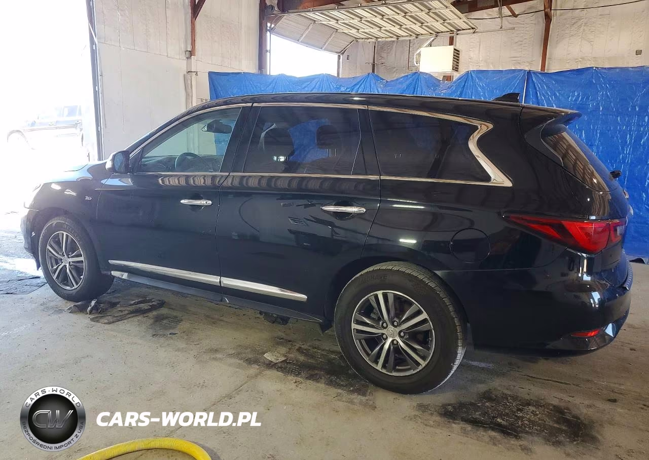 2019 Infiniti Qx60 Pure VIN:5N1DL0MNXKC506480 - 2