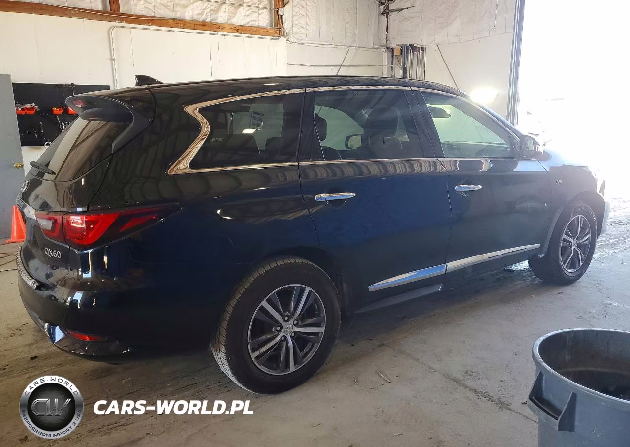 2019 Infiniti Qx60 Pure VIN:5N1DL0MNXKC506480 - 3