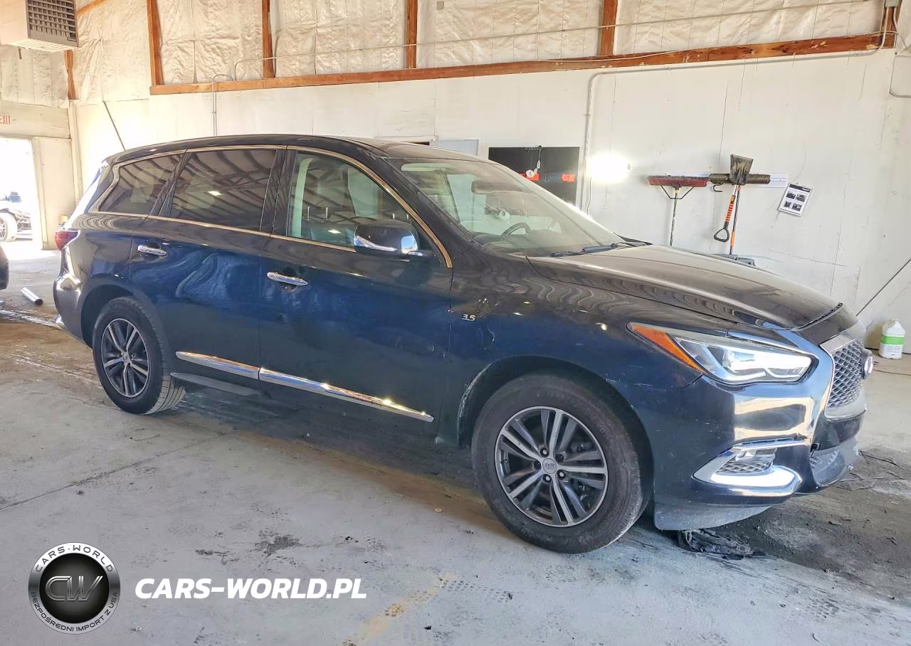 2019 Infiniti Qx60 Pure VIN:5N1DL0MNXKC506480 - 4