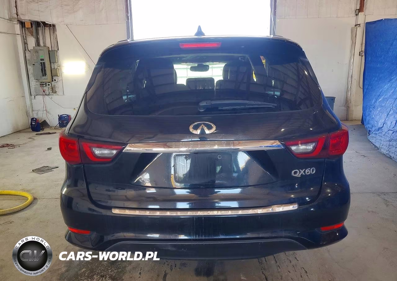 2019 Infiniti Qx60 Pure VIN:5N1DL0MNXKC506480 - 6