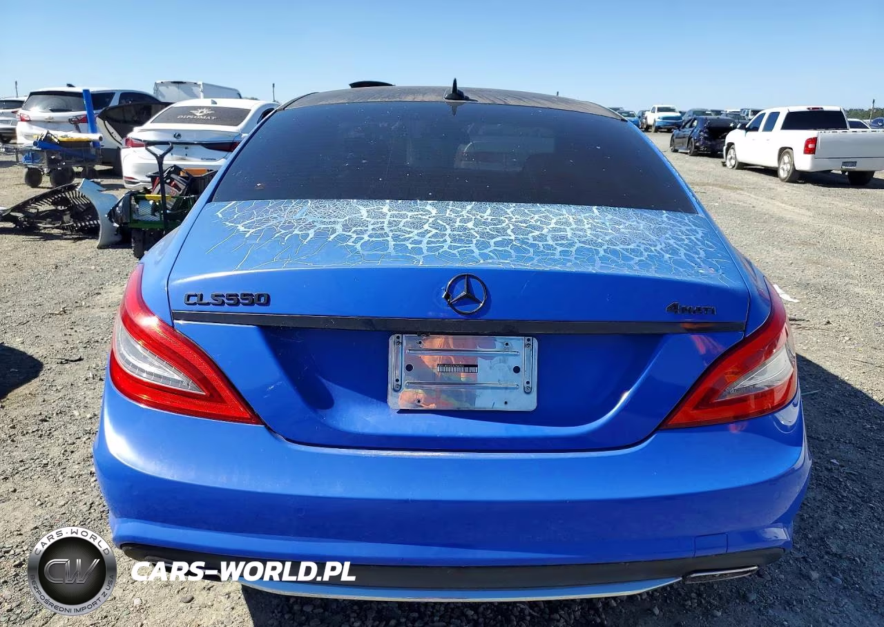 2013 Mercedes-Benz Cls 550 4Matic VIN:WDDLJ9BB4DA084309 - 6