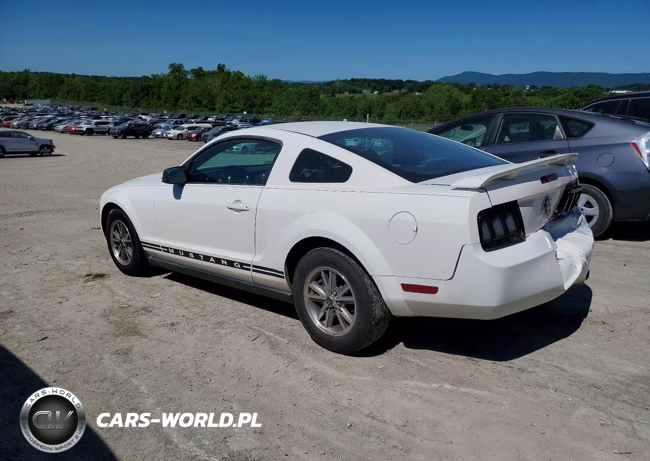 2005 Ford Mustang VIN:1ZVFT80N255144040 - 2