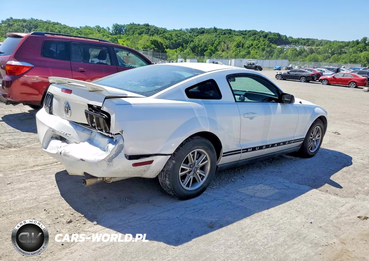 2005 Ford Mustang VIN:1ZVFT80N255144040 - 3